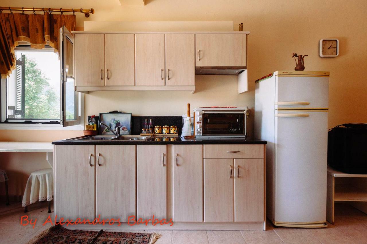 Appartement Bourikos House Corfu à Áno Korakiána Extérieur photo